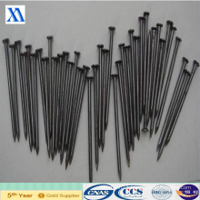 Super Quality and Competitive Price Common Iron Nails (XA-CN4)
